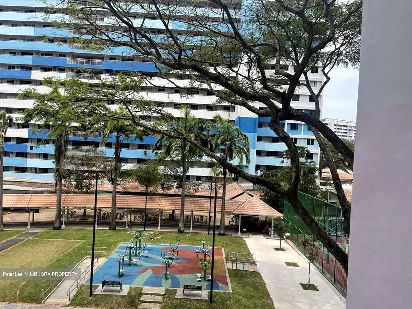 Blk 35 Chai Chee Avenue (Bedok), HDB 4 Rooms #537446881